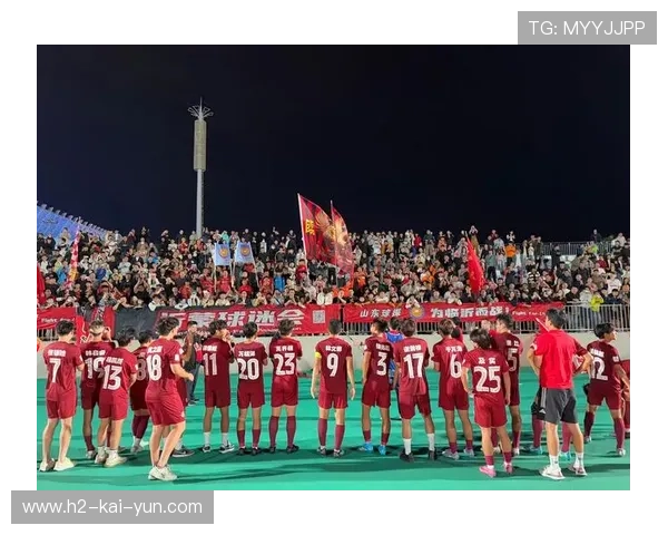 琑队如何建立球探选材数据标准,球探组合 琑队如何建立球探选材数据标准,球探组合
